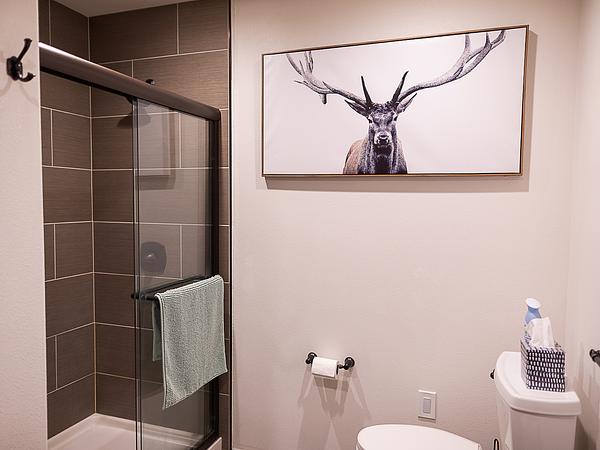 Beautiful apartment, king size bed, and fast WiFi! Unit B